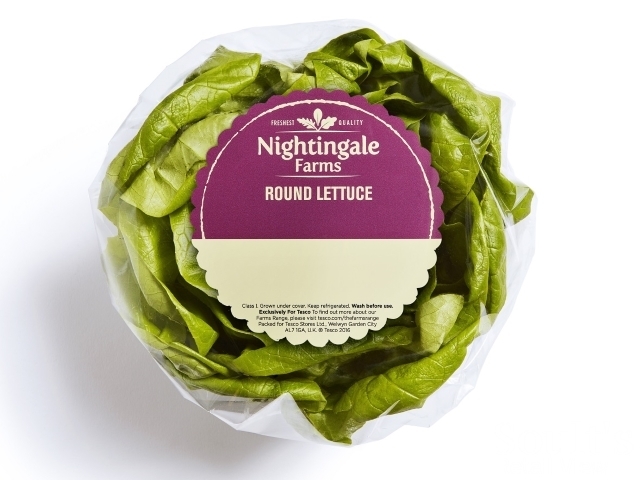Lettuce from the Nightingale Farms salad range